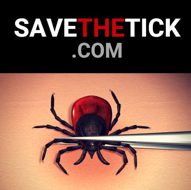 Tick Testing Labs Save The Tick