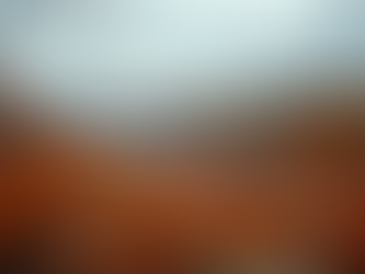 Mallory Cook: Meet Your Maine State House Candidate