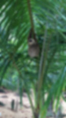 Hanging out at Bluff Beach!