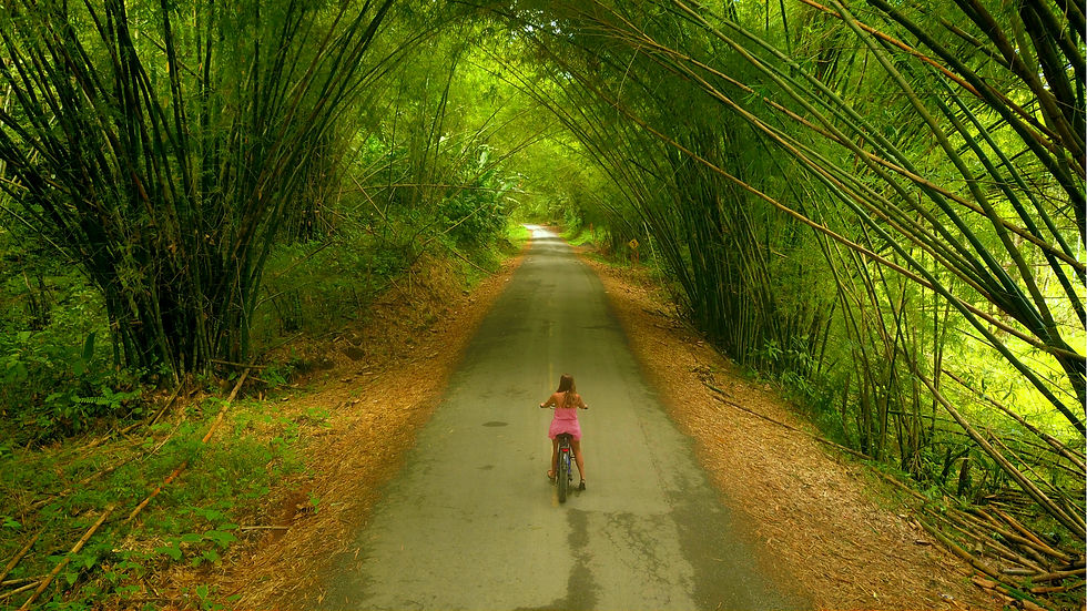 Bamboo Cave to Drago