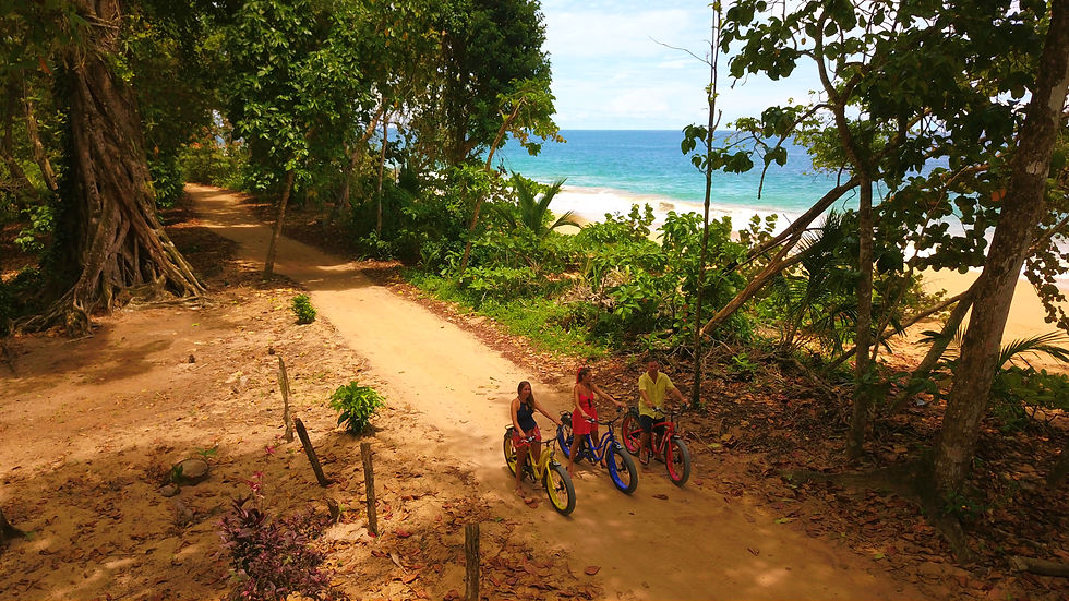 Bluff Beach