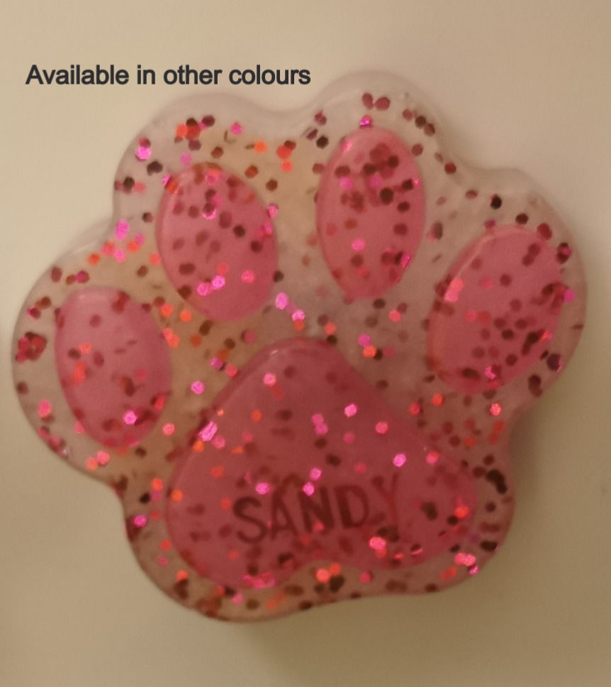Paw Resin Magnet