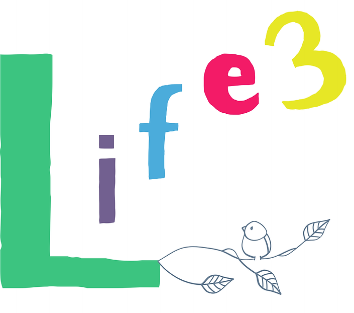Life3ろご(からー)_non_transparent.png