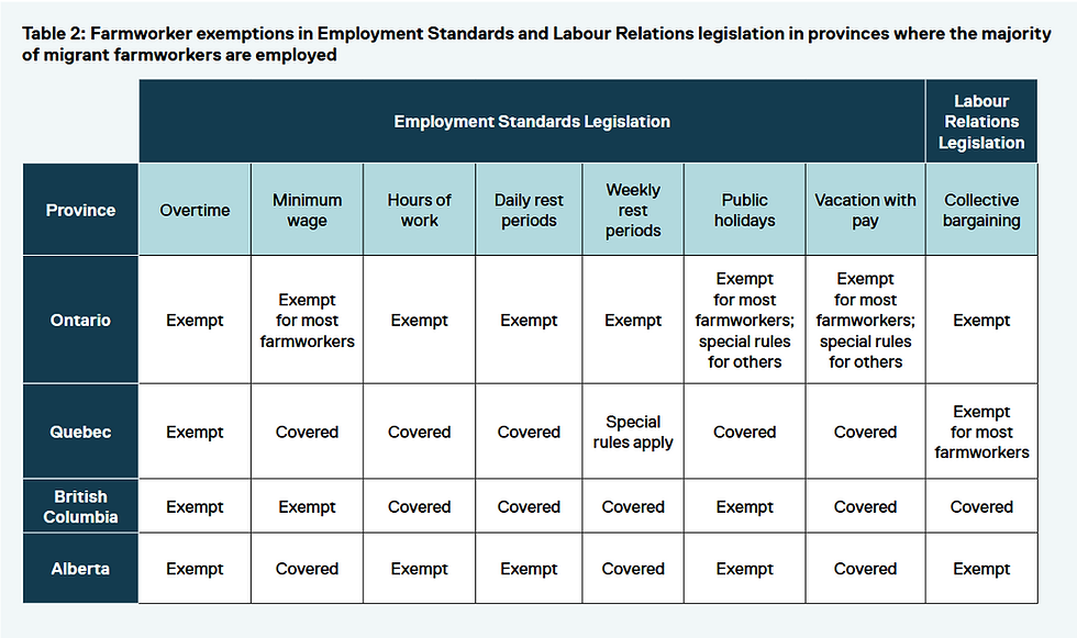 Canadian TMP farm labourers are typically excluded from the rights and protections prescribed by the Employment Standards Legislation. Image Credit: Toronto Metropolitan University