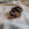 Belt- Peel with ribbed SE
