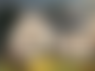 Everything You Need To Know About Deciding Where To Retire