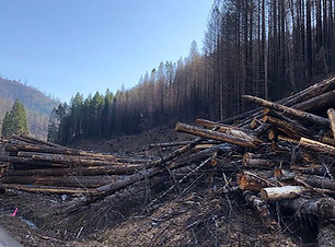 Post Fire 3.jpg