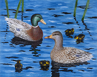 Ducks - 2001