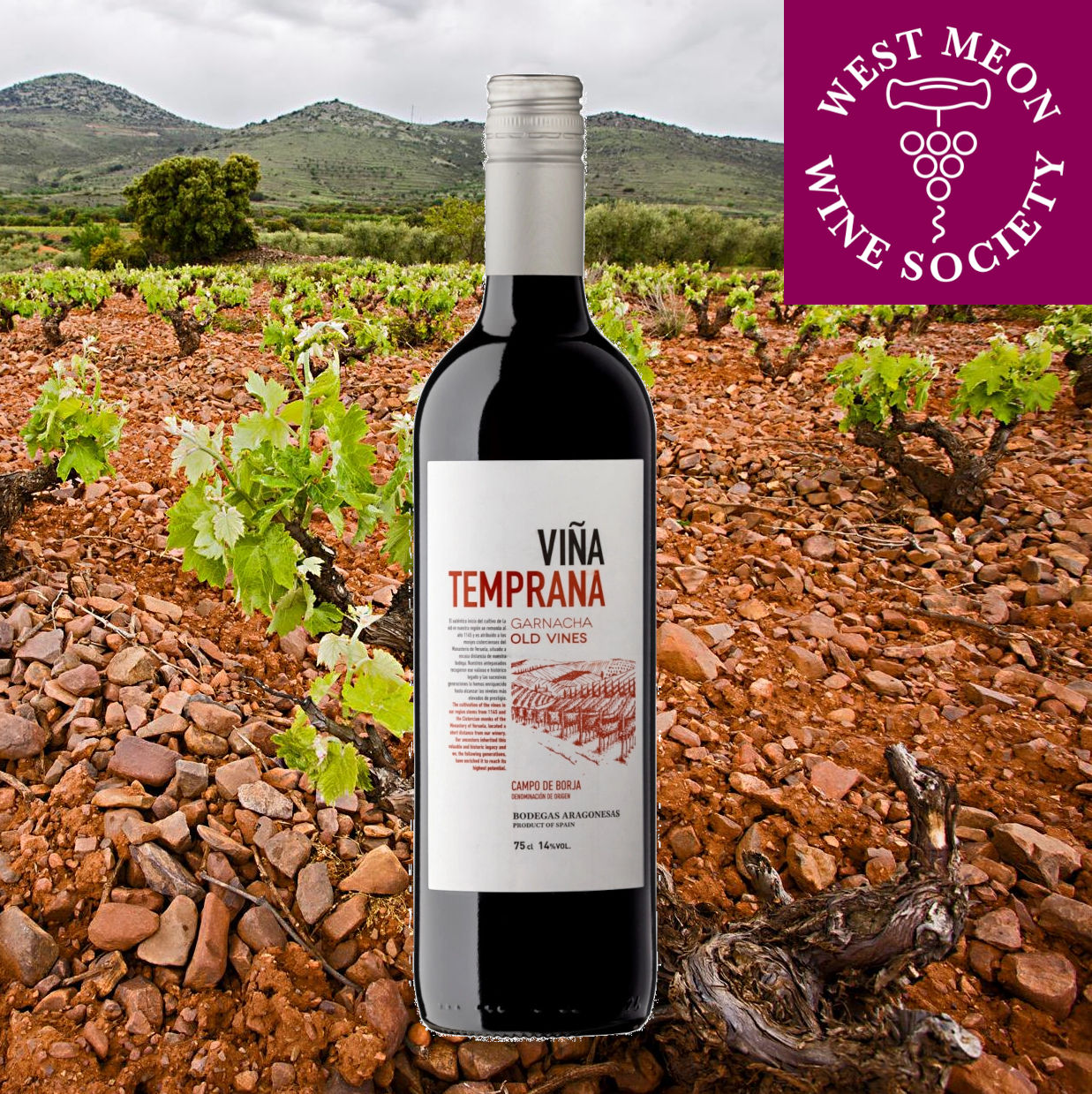 Viña Temprana Old Vines Garnacha, 2024, Campo de Borja, Spain, 12.5%