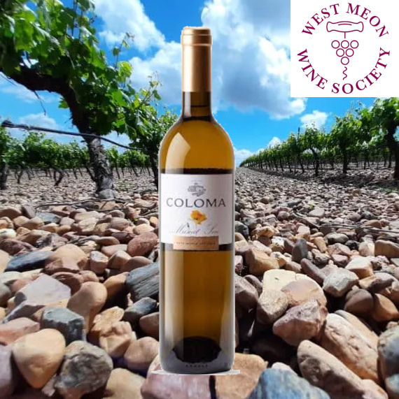 Coloma Dry Muscat, Extremadura 2020, 13.5%