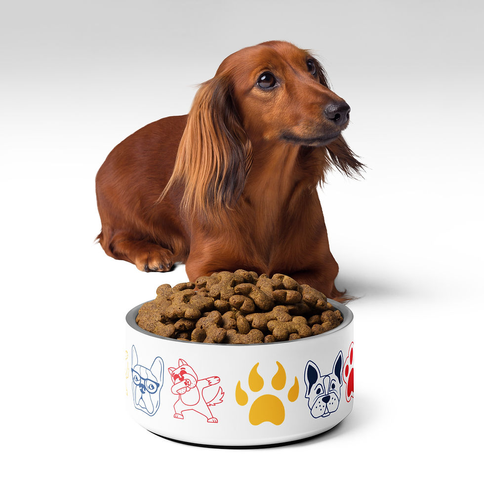 4EG Design Pet Bowl