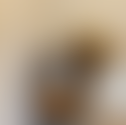 Newbornshoot in de studio