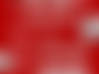 Autohaus Schreier Cup 2026