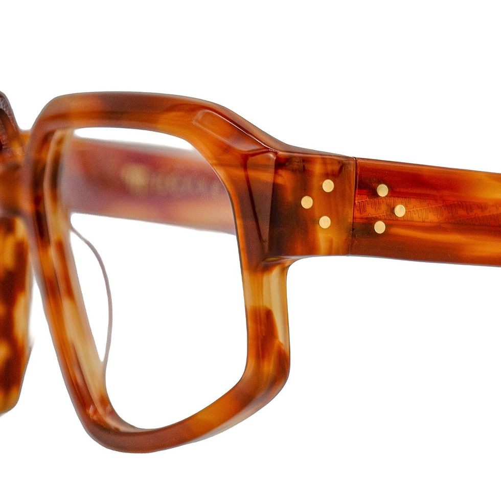 Miniature : pontet frioul red tortoise lyon