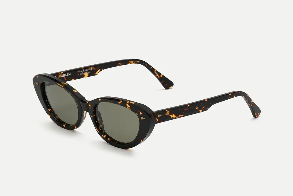 ahlem prairie yellow turtle