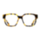 pontet cacio blond tortoise lyon