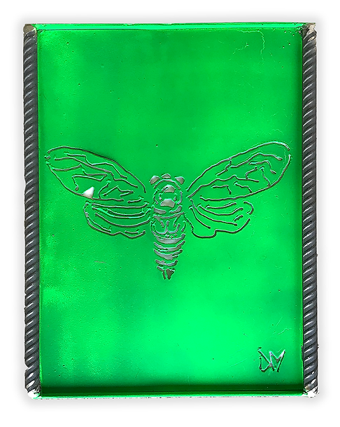 cicada.png