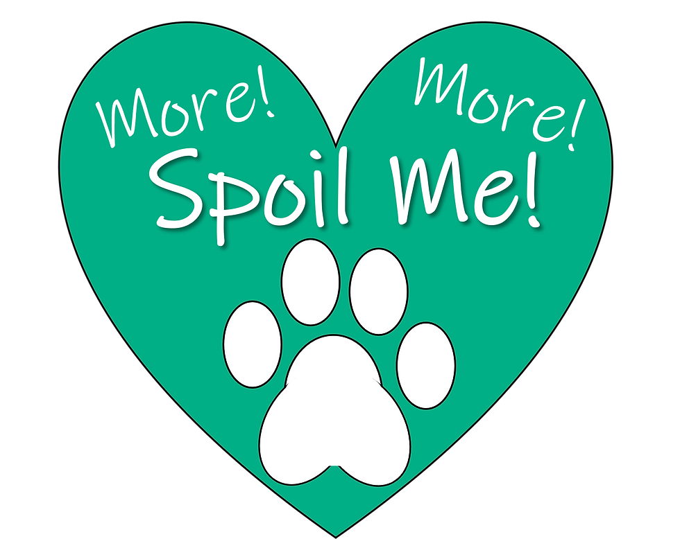 Pet Sitter Huntersville NC