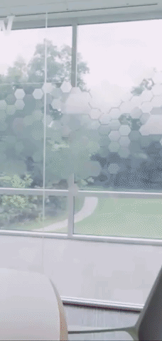 Animated GIF-downsized_large (1).gif