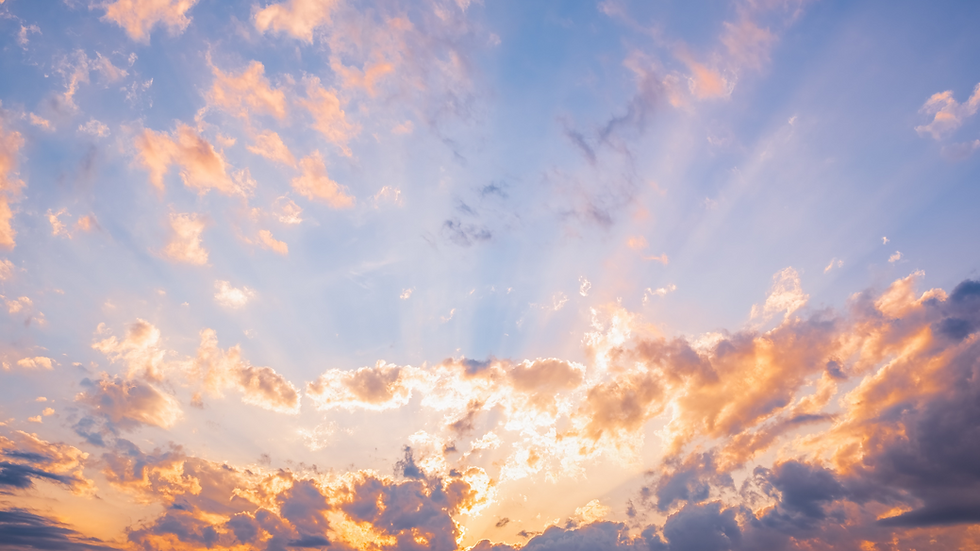 Untitled design (33).png