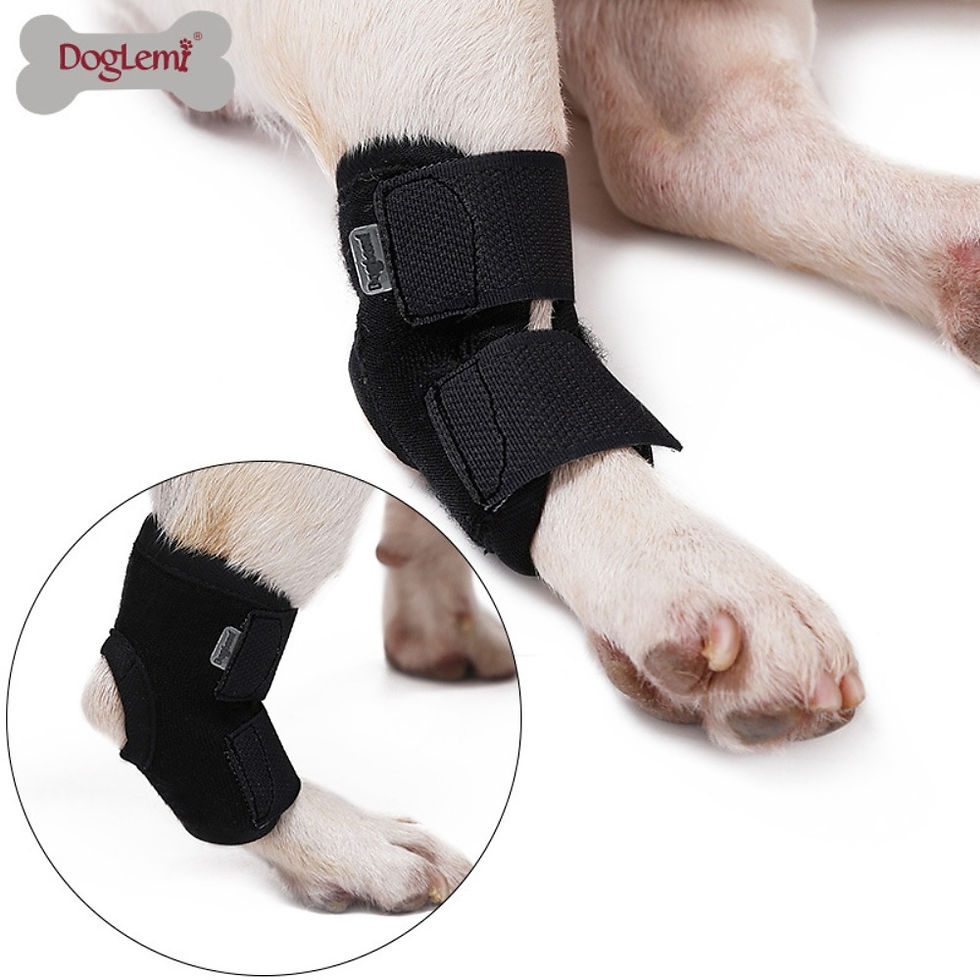 Thumbnail: Premium Dog Arthritis Knee Pads & Hock Joint Brace for Injury Recovery Support