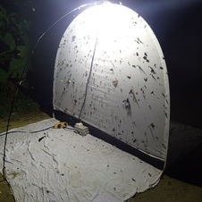 piège lumineux