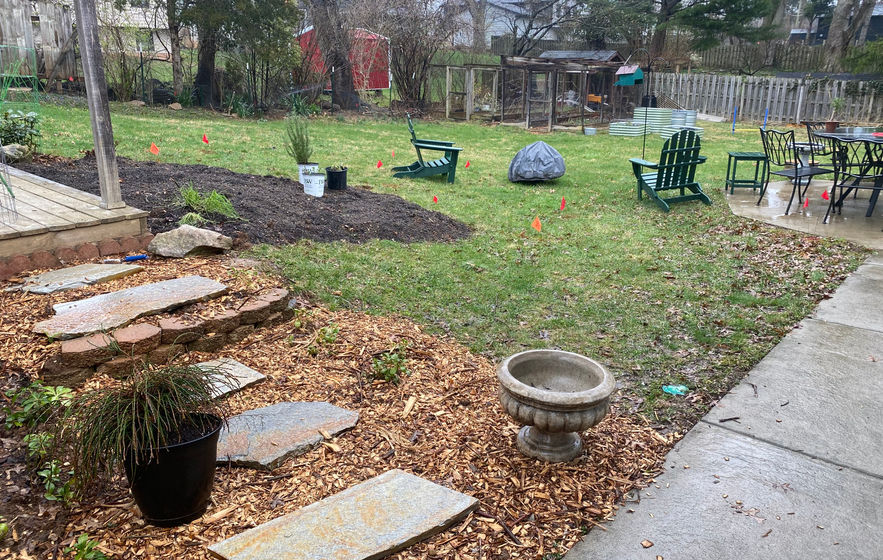 Before photo