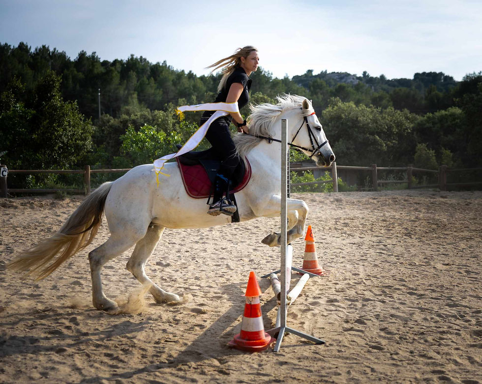 Pack Photo Premium - Concours Ecuries du Bosquet - Juin 2025