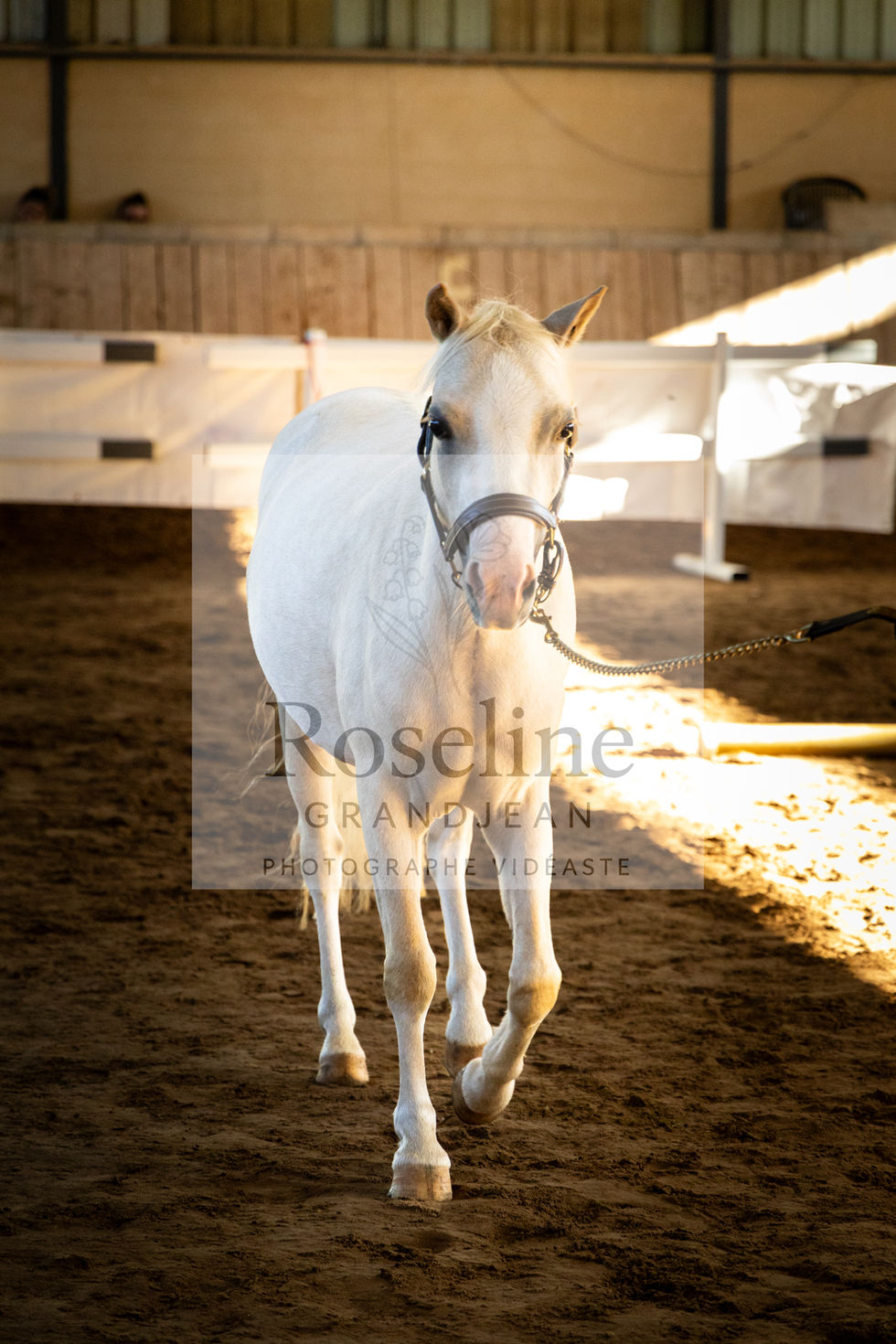 MODELE-ALLURES-PDL-SEPTEMBRE2025-9913