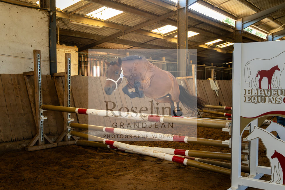 MODELE-ALLURES-PDL-SEPTEMBRE2025-9971