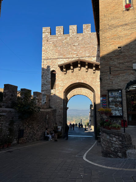 52489758732_889eb31285_o