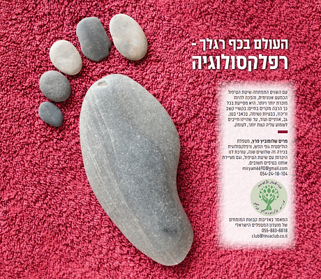 Screenshot 2024-02-21 202006.png