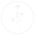 19.png
