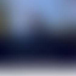 Wattlebewillbe submits its first Environmental Account for certification 