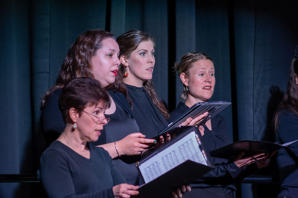 A Renaissance Christmas with the Minnesota Renaissance Choir