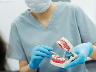 TEETH - My Latest Obsession. 