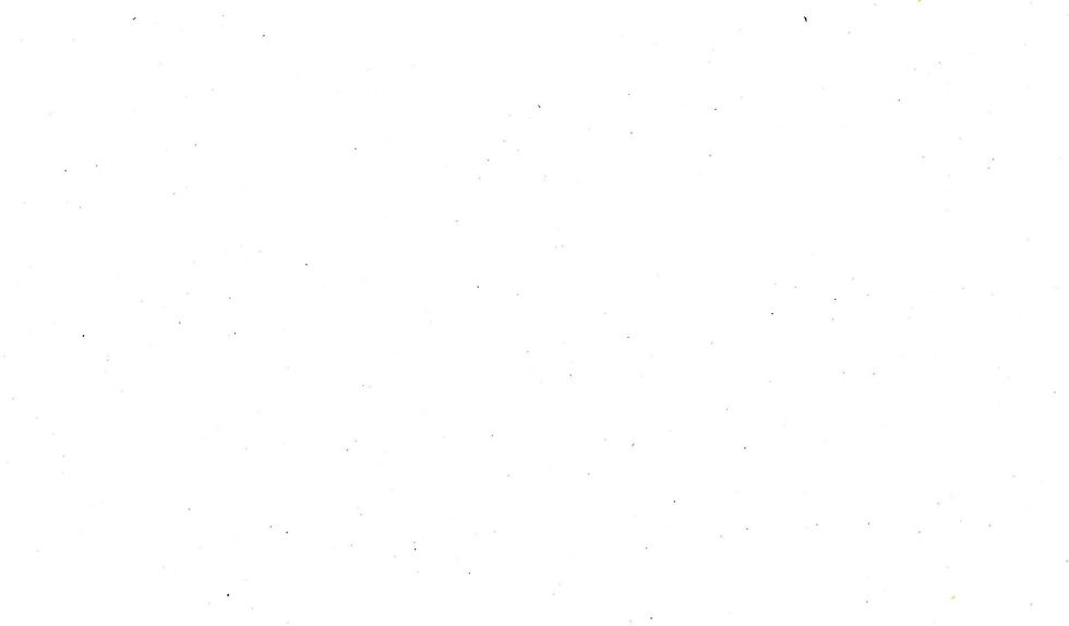 white.jpg