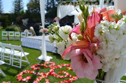 601239_4169730561985_934843955_n