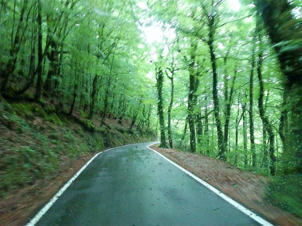 estrada