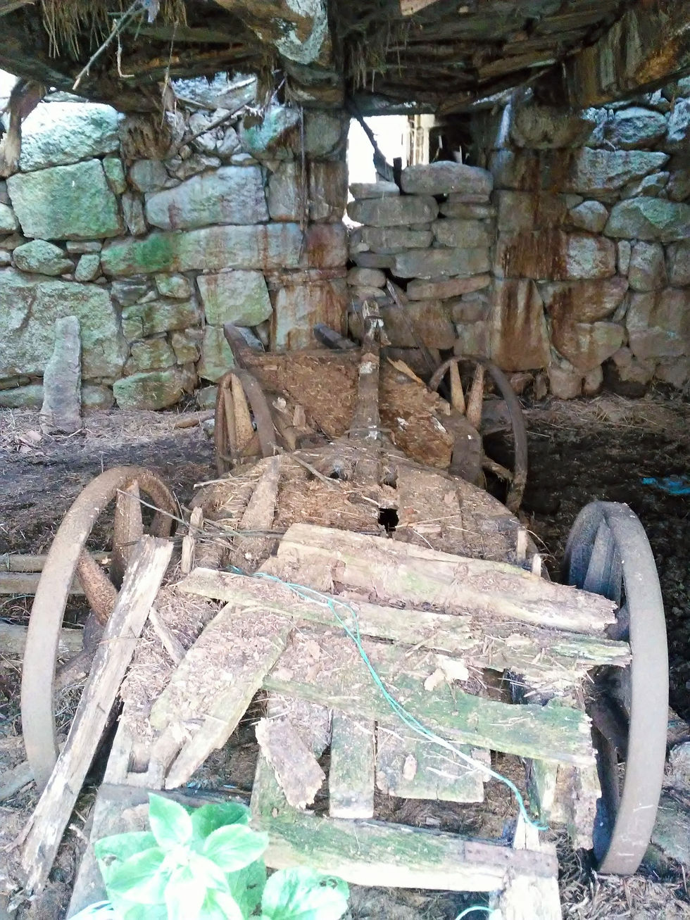 carroça