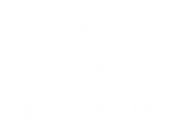 white_logo_transparent_background.png