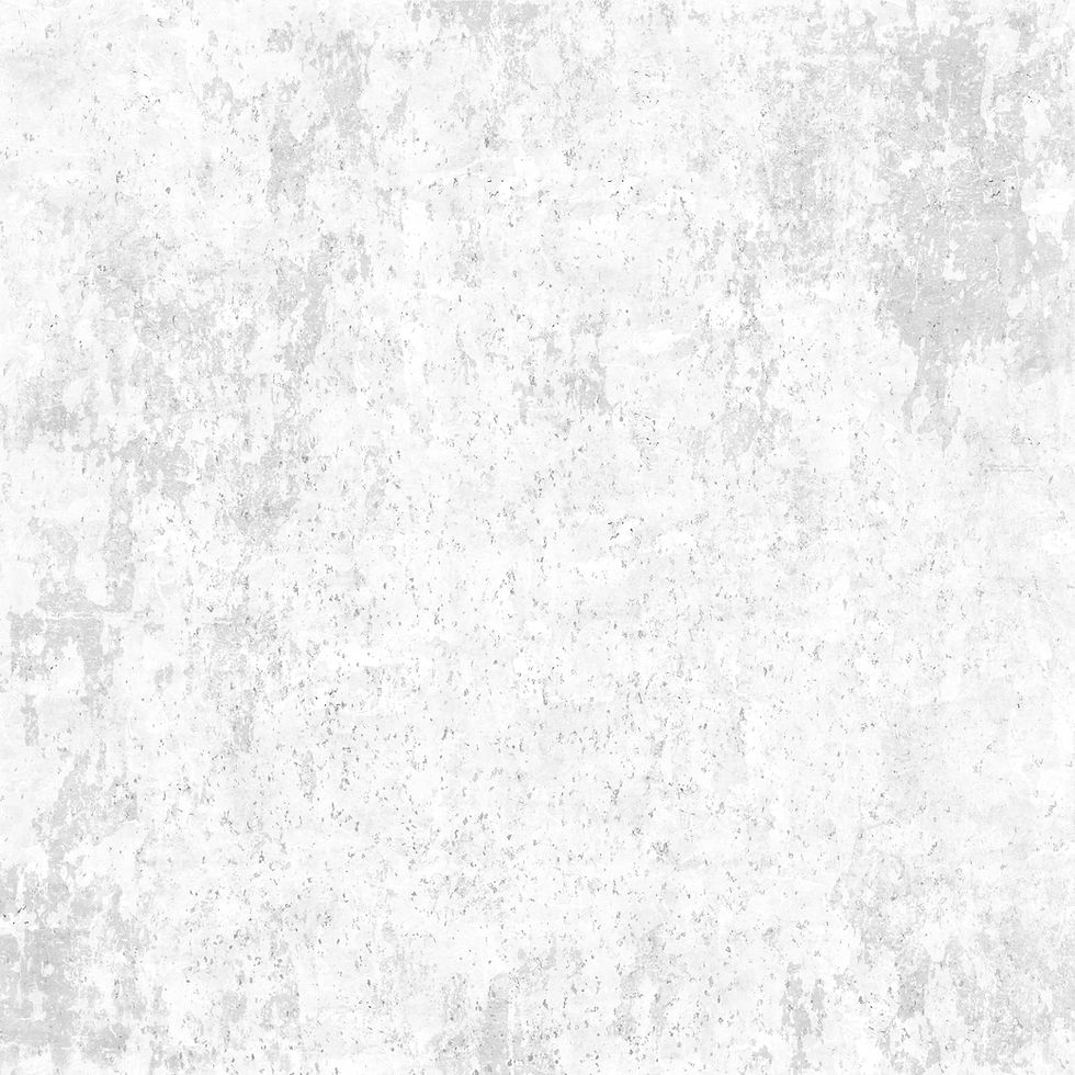 white-grunge-texture-primed-canvas.jpg