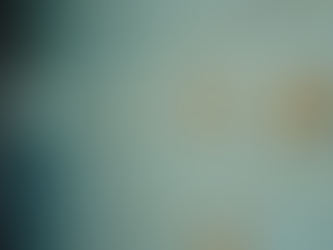 Master the Art of Content Planning