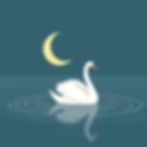 Swan swimming on a calm lake carrying a waxing crescent moon.jpg