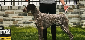 Beretta