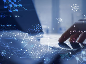Hakunamatata: High Court Grants Injunction Against Use Of "TATA" mark for Cryptocurrencies