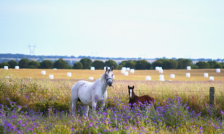 DSC_0124_edited_edited.jpg