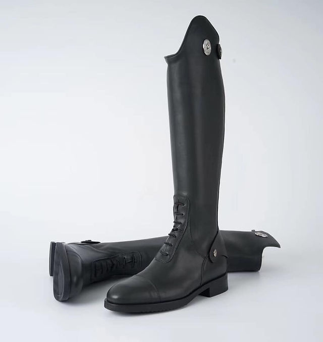 Equestrian Products | Equine Worldwide