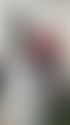 הכנת מי ורדים 🌹