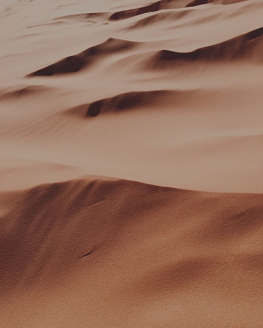 Desert_edited.jpg